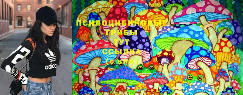 Псилоцибиновые грибы MAGIC MUSHROOMS  Бежецк 